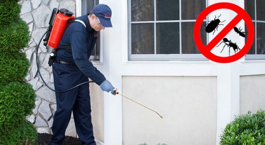 Mesudiye Hamam Böceği İlaçlama böcek ilaçlama ve haşere kontrolü — ilaclama-tr.com